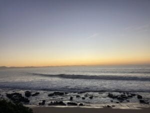 IMG 7042